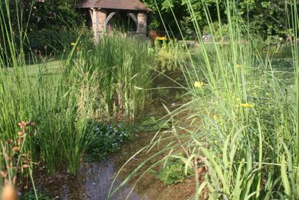 Natural Swimming pond Old Manor House Garden